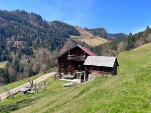 Seitenalm Abtenau im Tennengebirge Almhtte im Tennengebirge